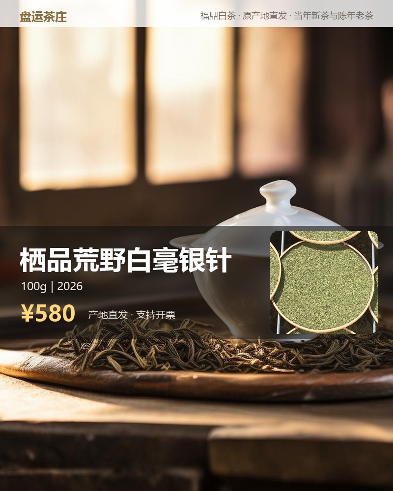 栖品荒野白毫银针 100g 荒野料 详情图