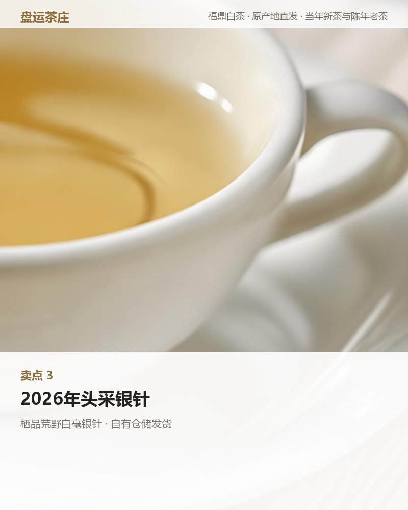 栖品荒野白毫银针 100g 荒野料 详情图