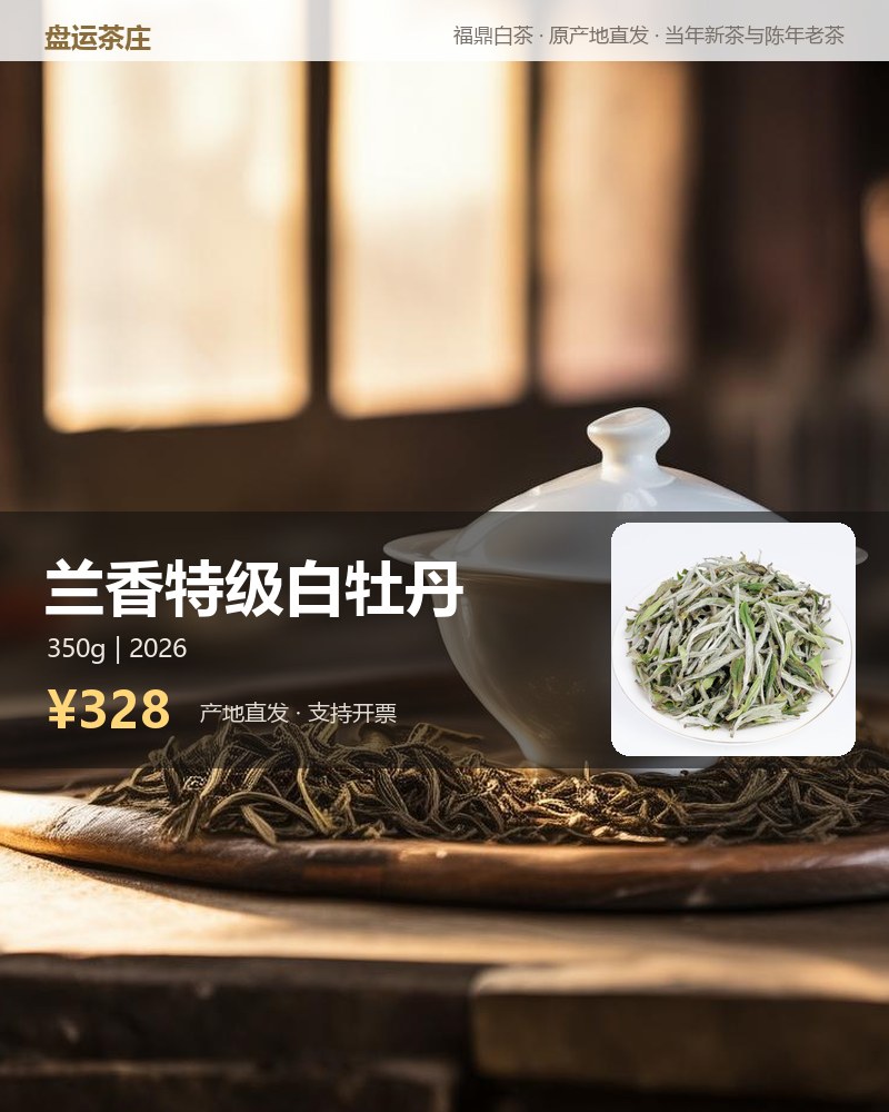 兰香特级白牡丹 350g 详情图