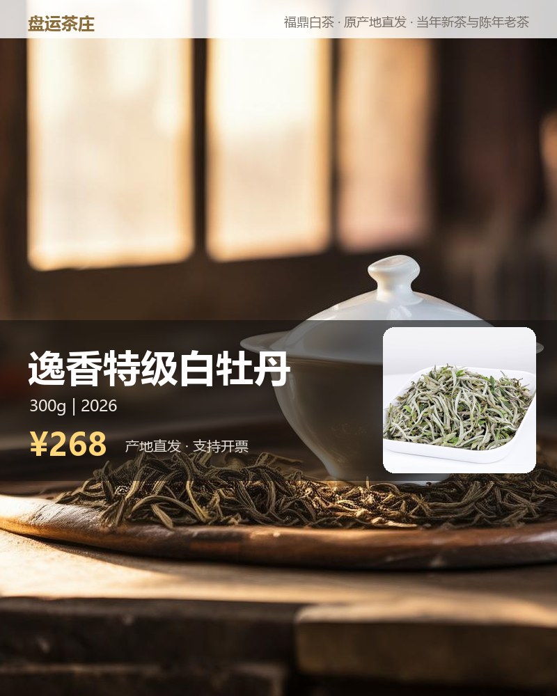 逸香特级白牡丹 300g 详情图