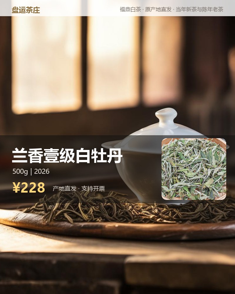 兰香壹级白牡丹 2026 年磻溪 500g 详情图