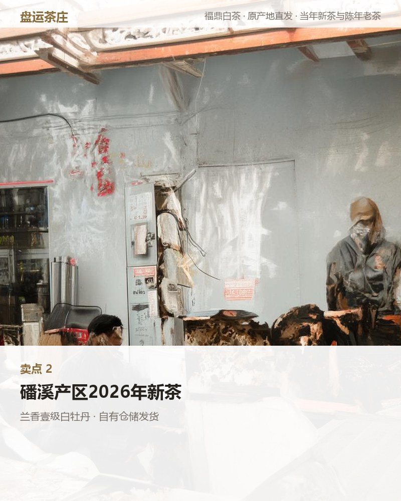 兰香壹级白牡丹 2026 年磻溪 500g 详情图