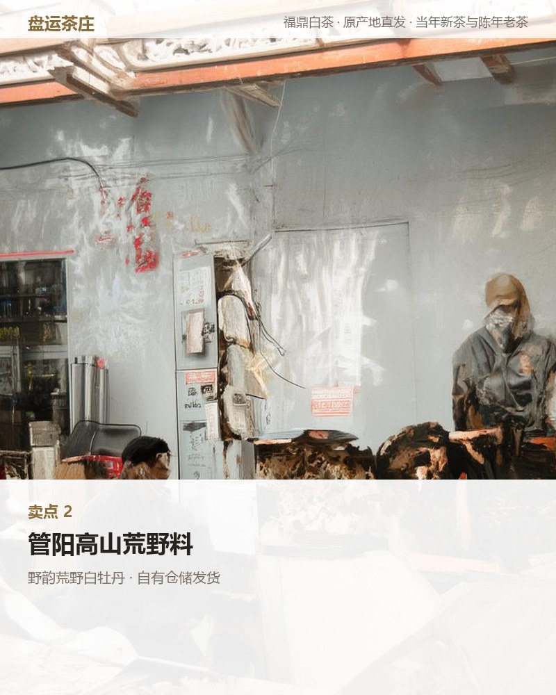 野韵荒野白牡丹 2023 年管阳高山 350g 详情图