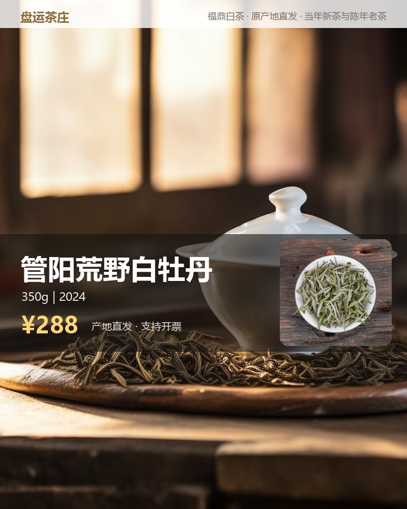 管阳荒野白牡丹 2024 年 350g 详情图
