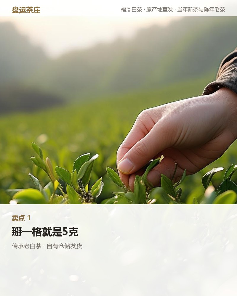 传承老白茶 2015 年 巧克力砖 200g 详情图