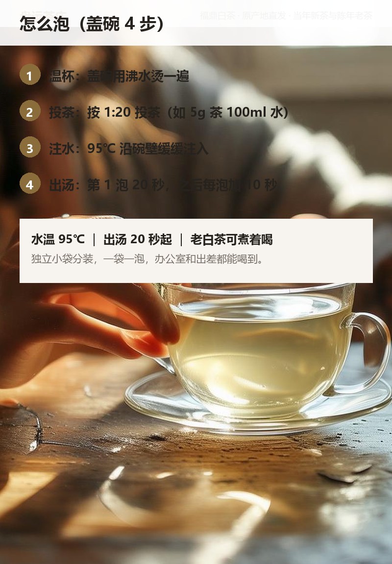 传承老白茶 2015 年 巧克力砖 200g 详情图