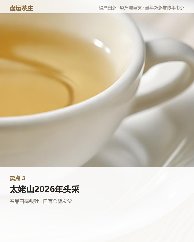 春品白毫银针 散茶 100g（无礼盒） 详情图