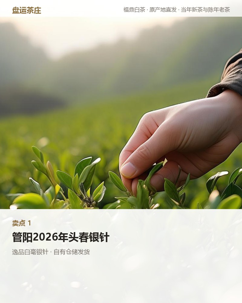 逸品白毫银针 单罐 50g 详情图