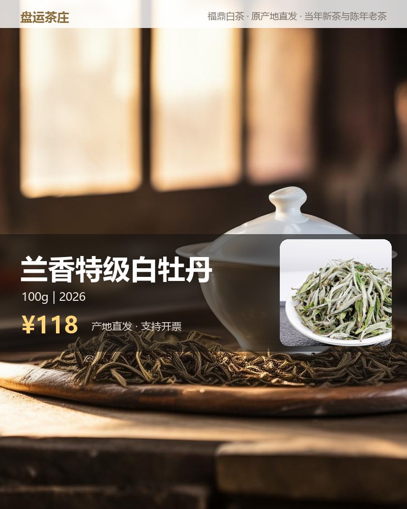 兰香特级白牡丹 100g 罐装 详情图