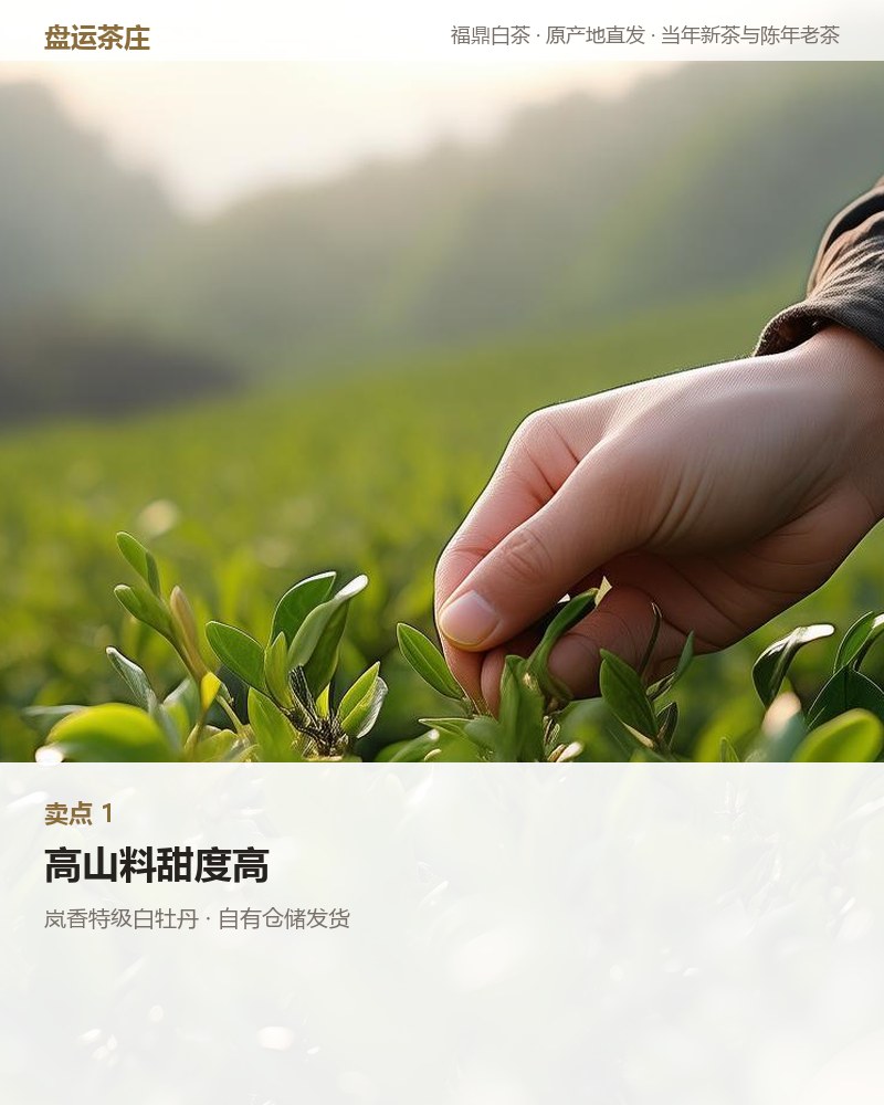 岚香特级白牡丹 100g 罐装 详情图