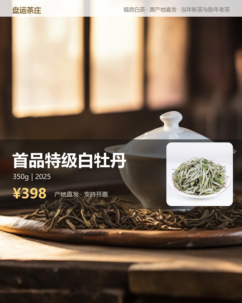 首品特级白牡丹 2025 年磻溪 350g 详情图