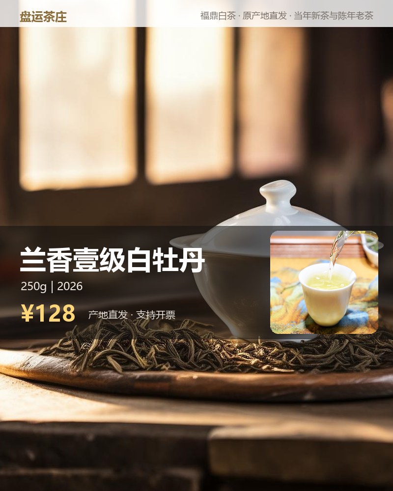 兰香壹级白牡丹 2026 年磻溪 250g 详情图