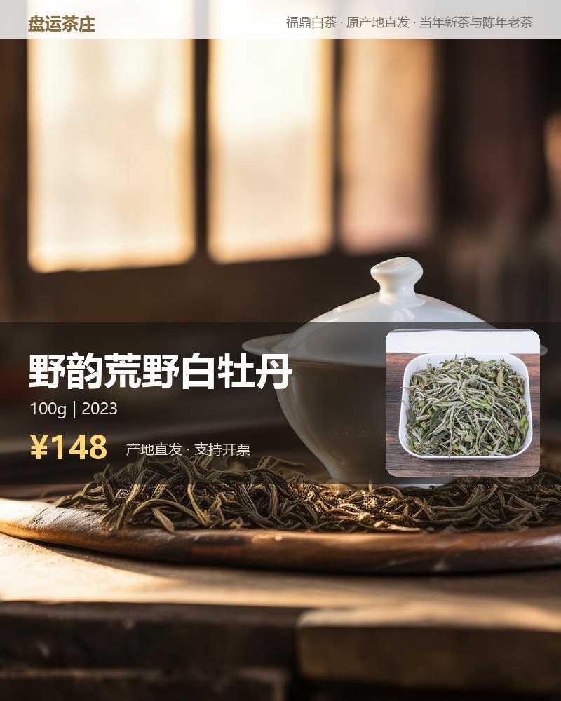 野韵荒野白牡丹 2023 年 100g 罐装 详情图