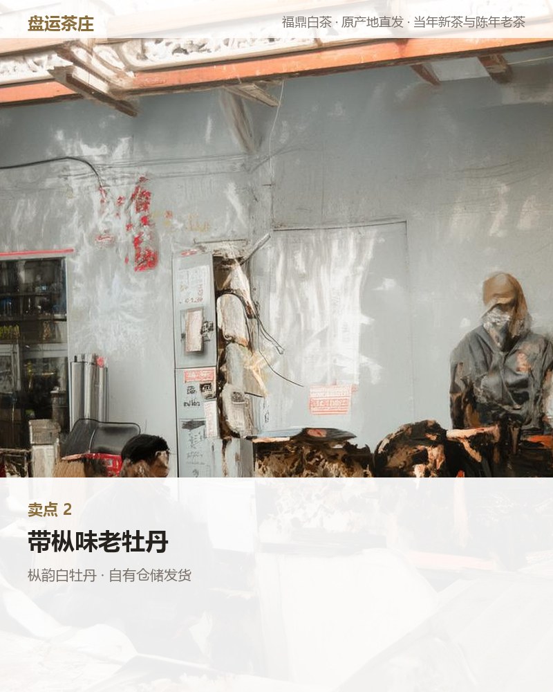枞韵白牡丹 2023 年 100g 罐装 详情图