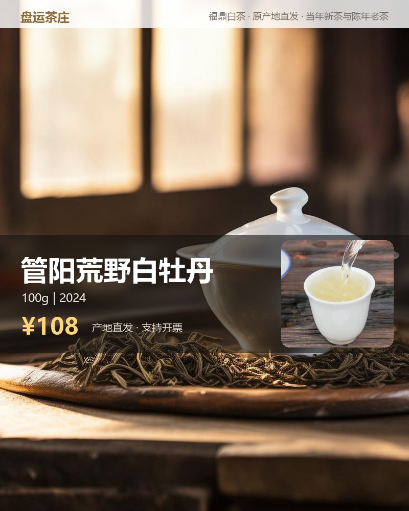 管阳荒野白牡丹 2024 年 100g 罐装 详情图