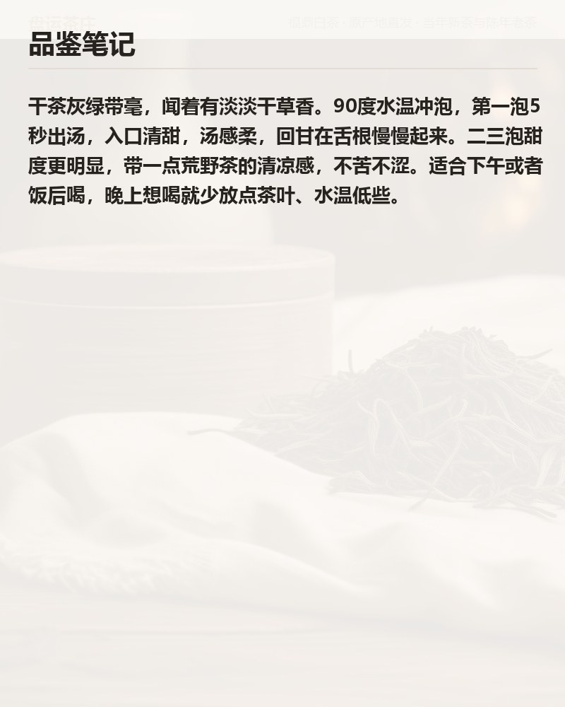 管阳荒野白牡丹 2024 年 100g 罐装 详情图