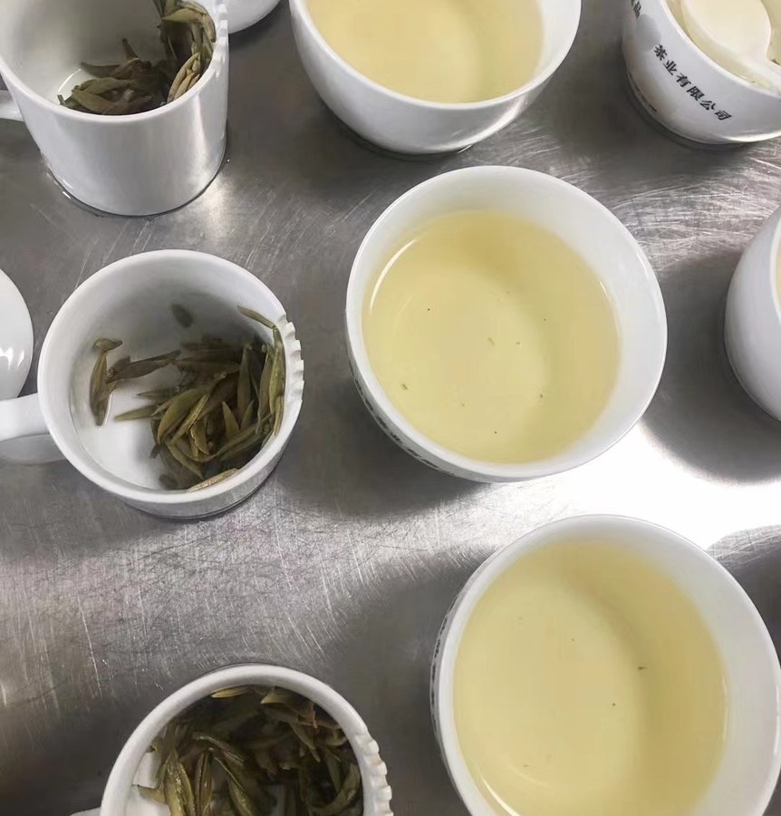 栖品荒野白毫银针 100g 荒野料