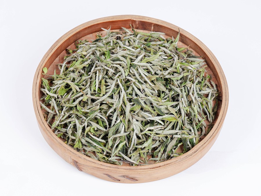 首品特级白牡丹 2025 年磻溪 150g