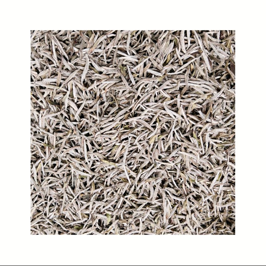 春品白毫银针 散茶 100g（无礼盒）