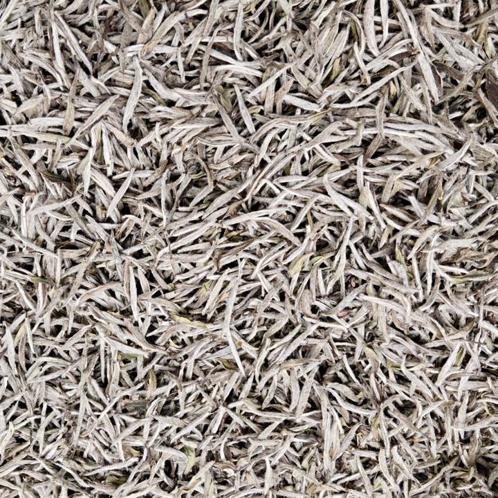 春品白毫银针 散茶 100g（无礼盒）