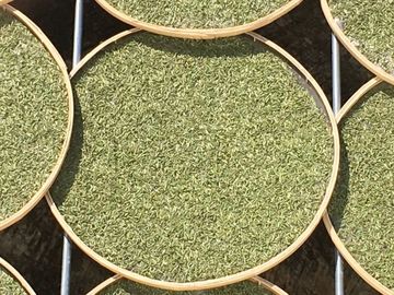 栖品荒野白毫银针 100g 荒野料