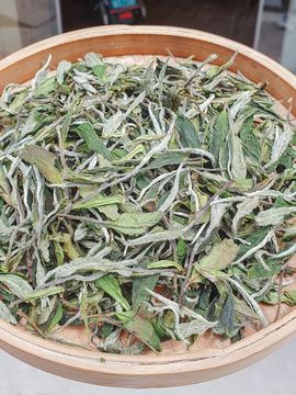 兰香壹级白牡丹 2026 年磻溪 500g